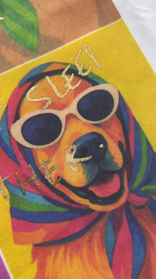 T-shirt dog house